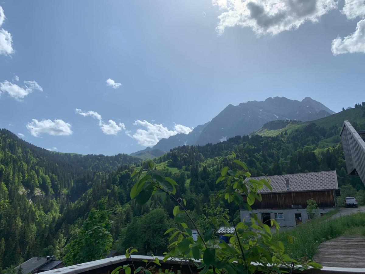 Terrasse Sur Les Aravis Apartment La Giettaz Bagian luar foto